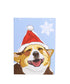 Corgi Holiday Card: "HOPE YOUR HOLIDAYS ARE FILLED WITH LOVE AND LAUGHTER. SEASON’S GREETINGS!" (INSIDE) (1 CARD) BY PaperRussells